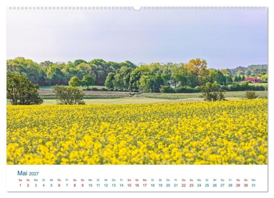 InsideView 10