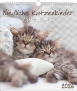 Niedliche Katzenkinder 2026 - Wand-Kalender - Tier-Kalender - 30x34 - 
