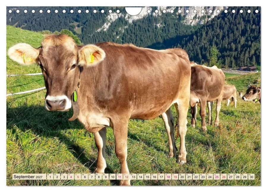 InsideView 14