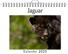 Cover-Bild zum Titel 'Jaguar' von 'Alice Weber'