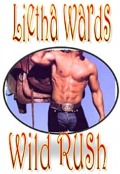 Cover-Bild zum Titel 'Wild Rush (Wild Boys, #3)' von 'L. R. Wards'