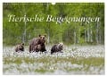 Tierische Begegnungen (Wandkalender 2025 DIN A3 quer), CALVENDO Monatskalender - Daniela Beyer (Moqui)