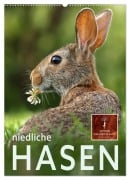 Cover-Bild zum Titel 'Niedliche Hasen (Wandkalender 2026 DIN A2 hoch), CALVENDO Monatskalender' von 'Peter Roder'