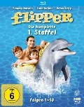 Cover-Bild zum Titel 'Flipper' von 'Maria Little, Peter L. Dixon, Ricou Browning, Laird Koenig, Orville H. Hampton'