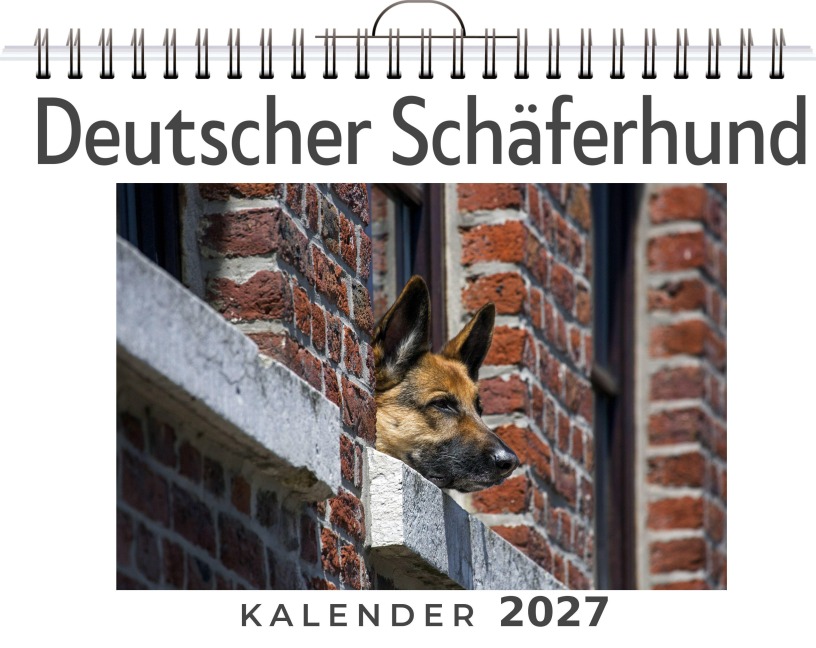 Deutscher Schäferhund - Aaron Meier