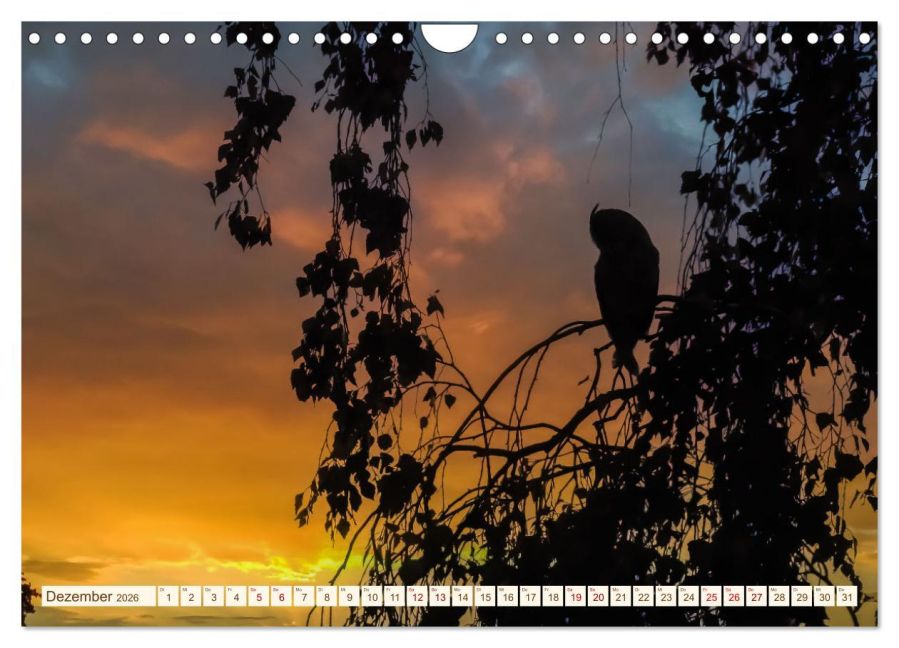 InsideView 4