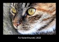 Für Katzenfreunde 2023 Fotokalender DIN A3 - Tobias Becker