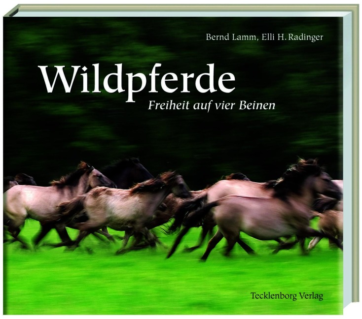 Wildpferde - Bernd Lamm, Elli H. Radinger