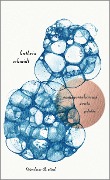 Cover-Bild zum Titel 'sommerschaums ernte' von 'Kathrin Schmidt'