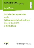 Lokale Verformungsevolution von im Elektronenstrahlschmelzverfahren hergestellten IN718-Gitterstrukturen - Daniel Klemm