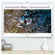 Cover-Bild zum Titel 'Faszination blaue Unterwasserwelt (hochwertiger Premium Wandkalender 2026 DIN A2 quer), Kunstdruck in Hochglanz' von 'Peter Schulz'