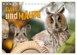 Cover-Bild zum Titel 'Eulen und Mäuse (Tischkalender 2026 DIN A5 quer), CALVENDO Monatskalender' von 'Jennifer Hetzel'
