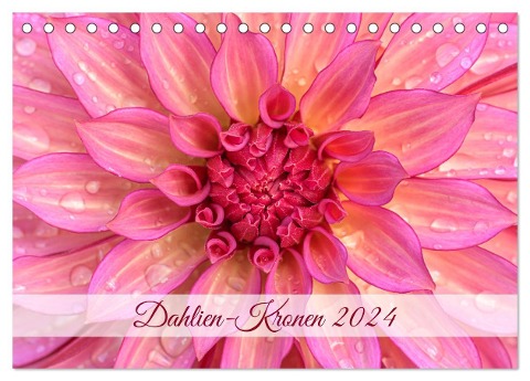 Dahlien-Kronen (Tischkalender 2024 DIN A5 quer), CALVENDO Monatskalender - Rainer Plett