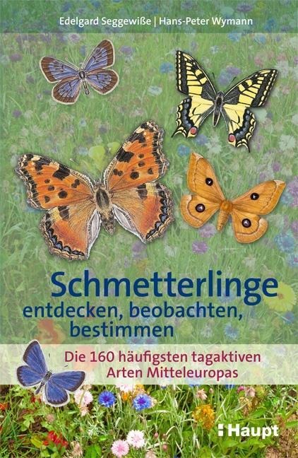 Schmetterlinge entdecken, beobachten, bestimmen - Edelgard Seggewiße