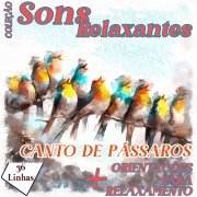 Cover-Bild zum Titel 'Coleção Sons Relaxantes - canto de pássaros' von 'Silvia Strufaldi'