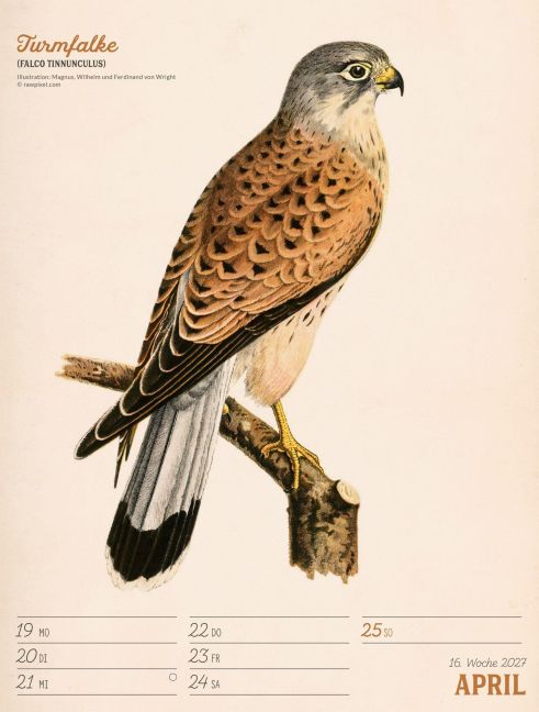 InsideView 20