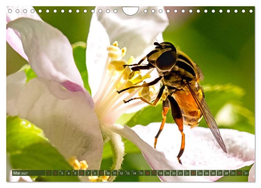 InsideView 10