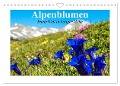 Alpenblumen. Bunte Welt in luftiger Höhe (Wandkalender 2025 DIN A4 quer), CALVENDO Monatskalender - Elisabeth Stanzer