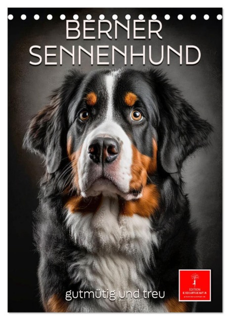 Berner Sennenhund - gutmütig und treu (Tischkalender 2026 DIN A5 hoch), CALVENDO Monatskalender - Peter Roder