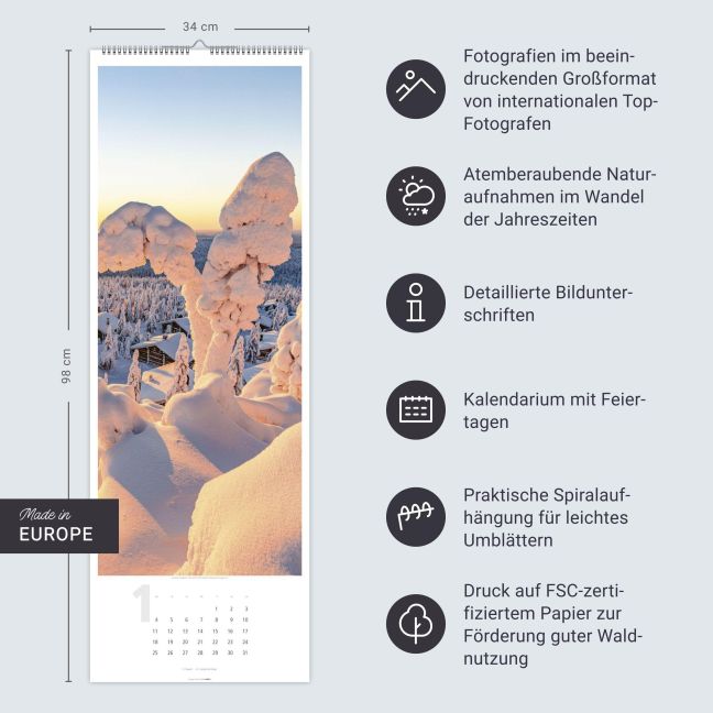 InsideView 13