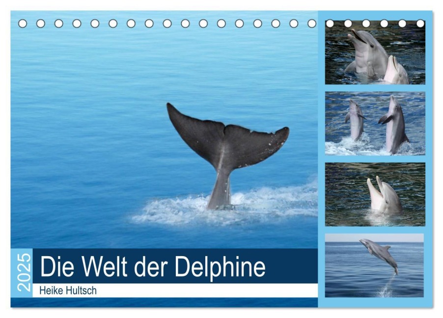 Die Welt der Delphine (Tischkalender 2025 DIN A5 quer), CALVENDO Monatskalender - Heike Hultsch