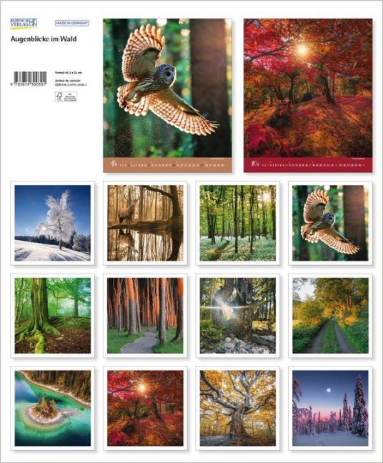 InsideView 13
