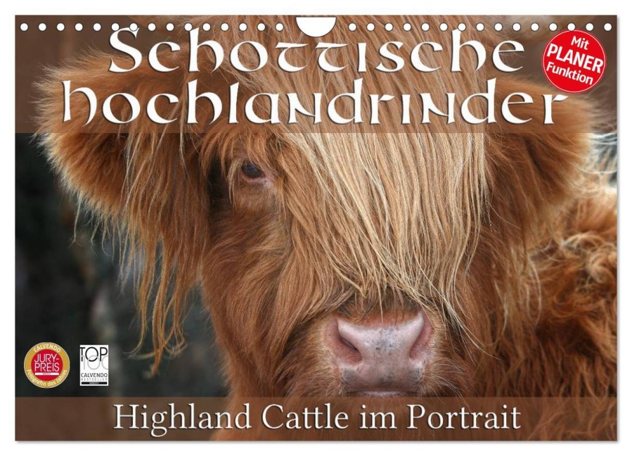 Schottische Hochlandrinder - Highland Cattle im Portrait (Wandkalender 2026 DIN A4 quer), CALVENDO Monatskalender - Martina Cross