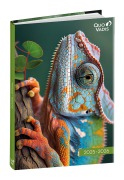 Schülerkalender FORUM Tiere Kameleon 2025/2026 - 