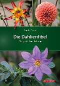 Cover-Bild zum Titel 'Die Dahlienfibel' von 'Cornelia Gutjahr'