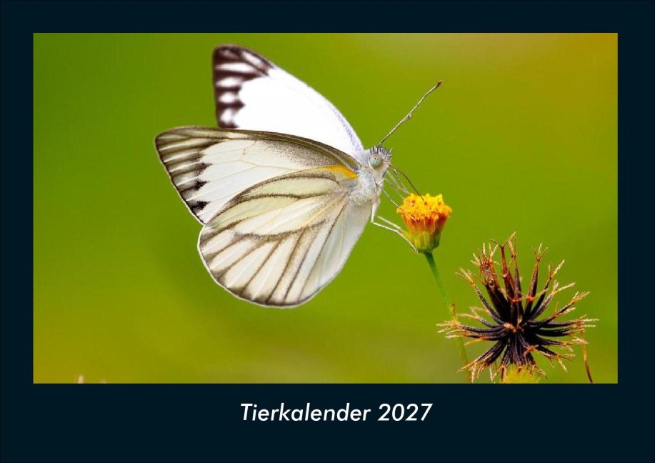 Tierkalender 2027 Fotokalender DIN A4 - Tobias Schmitt, Kevin Heber