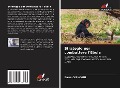 Cover-Bild zum Titel 'Strategie per combattere l'Ebola' von 'Barrè Onivogui'