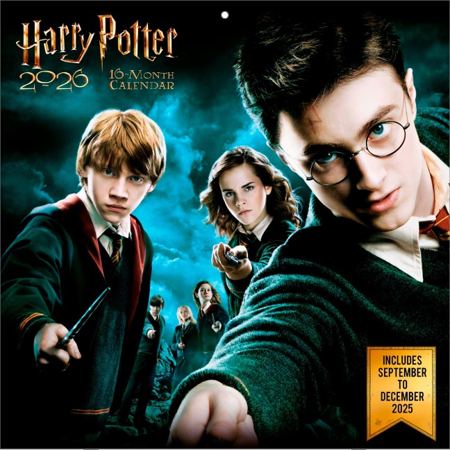 HARRY POTTER (FASHION) - Broschürenkalender im Format 30 x 30 - 