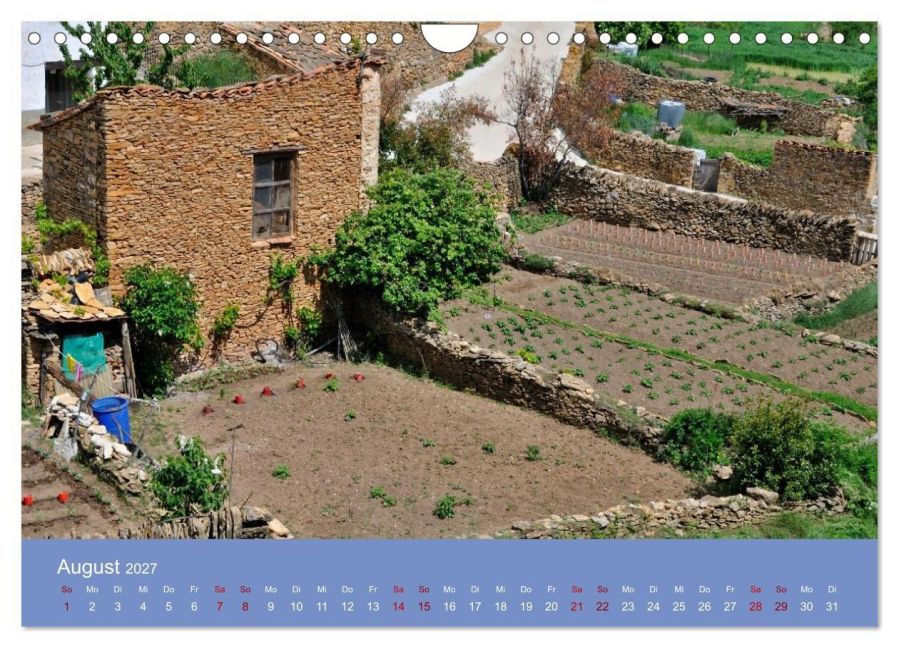InsideView 13