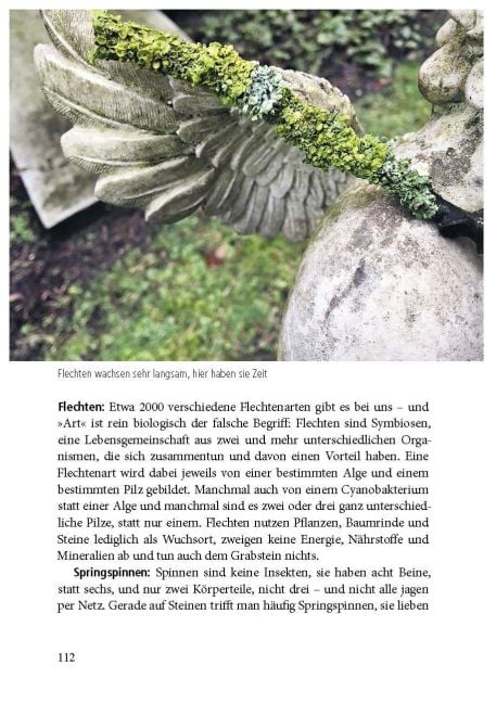 InsideView 4