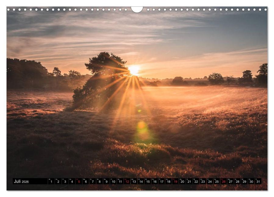 InsideView 12