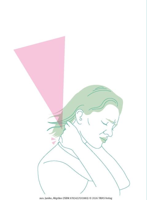 InsideView 12