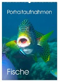 Portraitaufnahmen - Fische (Wandkalender 2024 DIN A2 hoch), CALVENDO Monatskalender - Ute Niemann