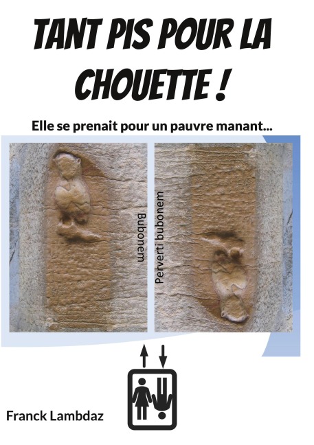 Tant pis pour la chouette ! - Franck Lambdaz