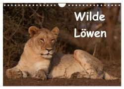 Cover-Bild zum Titel 'Wilde Löwen (Wandkalender 2025 DIN A4 quer), CALVENDO Monatskalender' von 'Britta Ohm'
