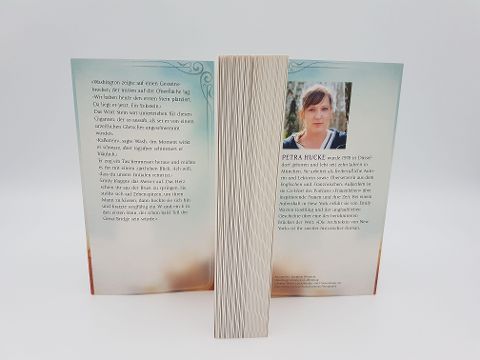 InsideView 5