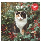 Cover-Bild zum Titel 'Katzen 2027' von ''