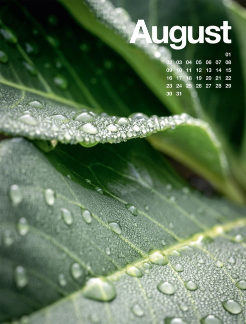 InsideView 8