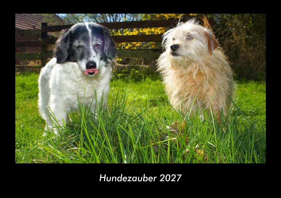 Hundezauber 2027 Fotokalender DIN A3 - Tobias Becker