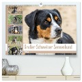 Großer Schweizer Sennenhund (hochwertiger Premium Wandkalender 2024 DIN A2 quer), Kunstdruck in Hochglanz - SchnelleWelten SchnelleWelten