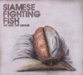 Cover-Bild zum Titel 'We Are The Sound' von 'Siamese Fighting Fish'