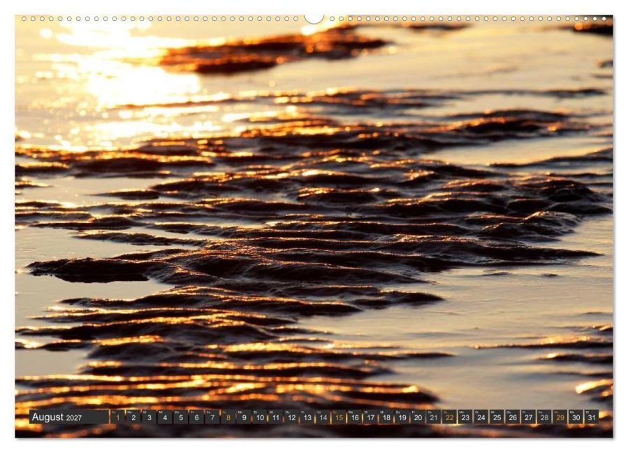 InsideView 12
