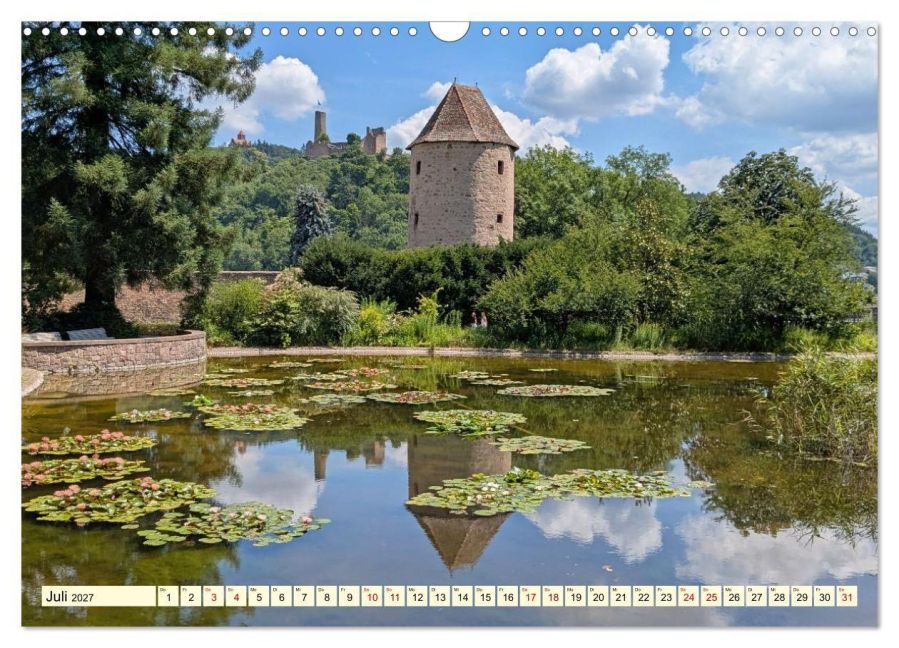 InsideView 12