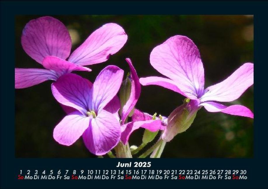 InsideView 10