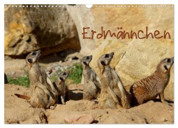 Cover-Bild zum Titel 'Erdmännchen (Wandkalender 2026 DIN A3 quer), CALVENDO Monatskalender' von 'Heike Hultsch'