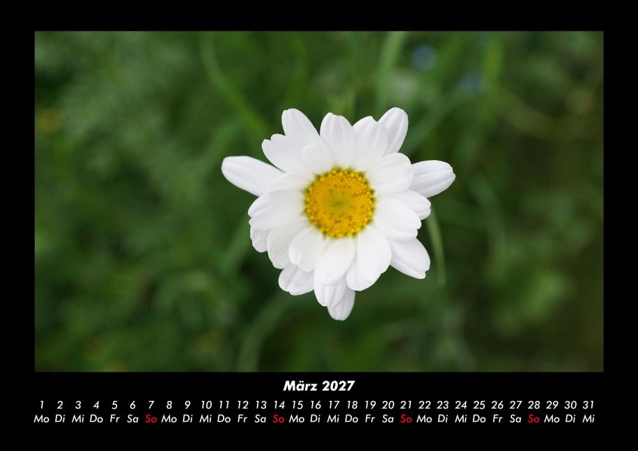 InsideView 7